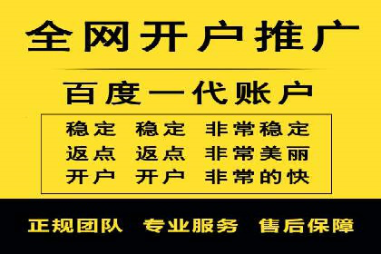 SEM竞价优化策略：成功案例解析