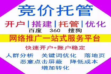 sem百度竞价实战：成功案例解析
